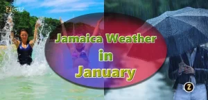 Jamaica Weather in January: A Perfect Winter Escape